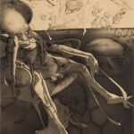 میودراک دوریچ - (دادو)